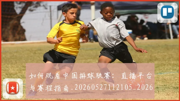 如何观看中国排球联赛：直播平台与赛程指南_20260527112105_20260609132649